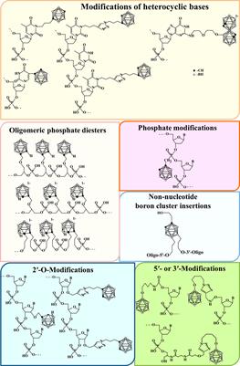 Recent Advances in the Synthesis of High Boron-Loaded Nucleic Acids for BNCT